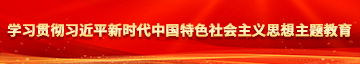 逼屁股学习贯彻习近平新时代中国特色社会主义思想主题教育